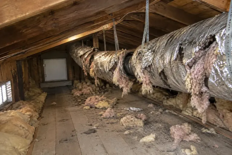 Attic flex duct replacement, before: Torn, sagging flex duct leaking insulation across the attic.