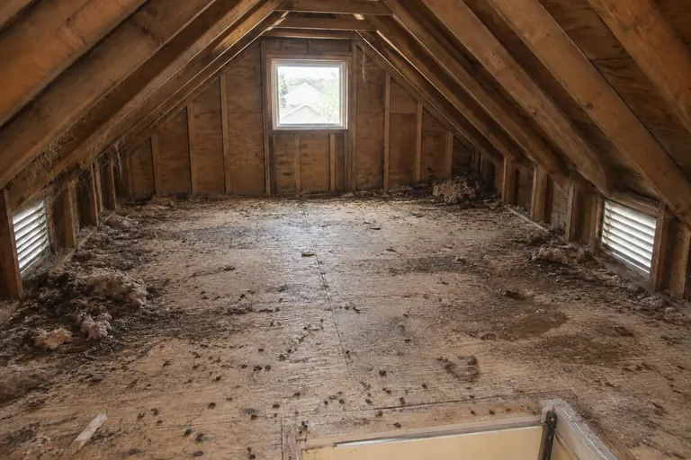 Rodent-damaged attic cleaned out, before: Droppings, nesting debris and decayed insulation across the attic floor.