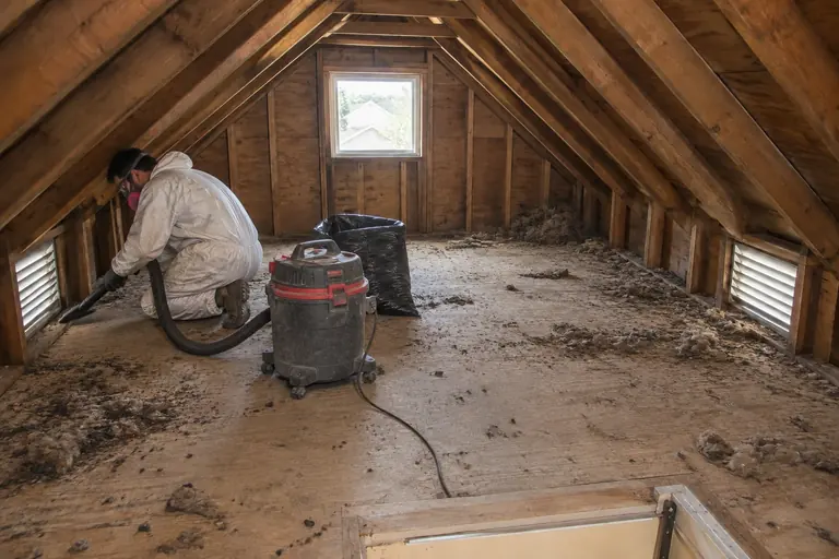 Rodent-damaged attic cleaned out, in progress: Vacuuming out debris and contaminated material.