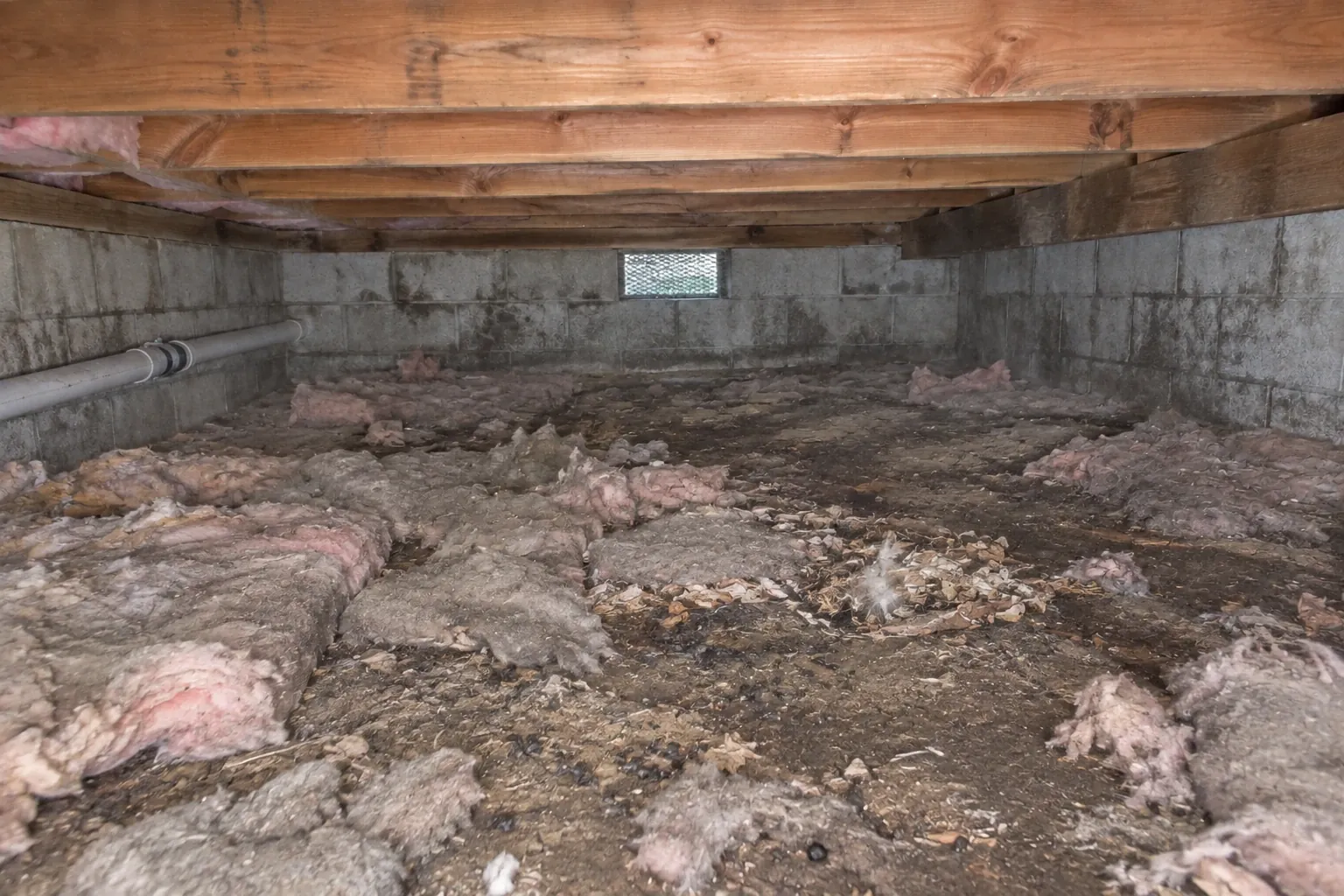 Before: Torn insulation and debris scattered across the crawl space.