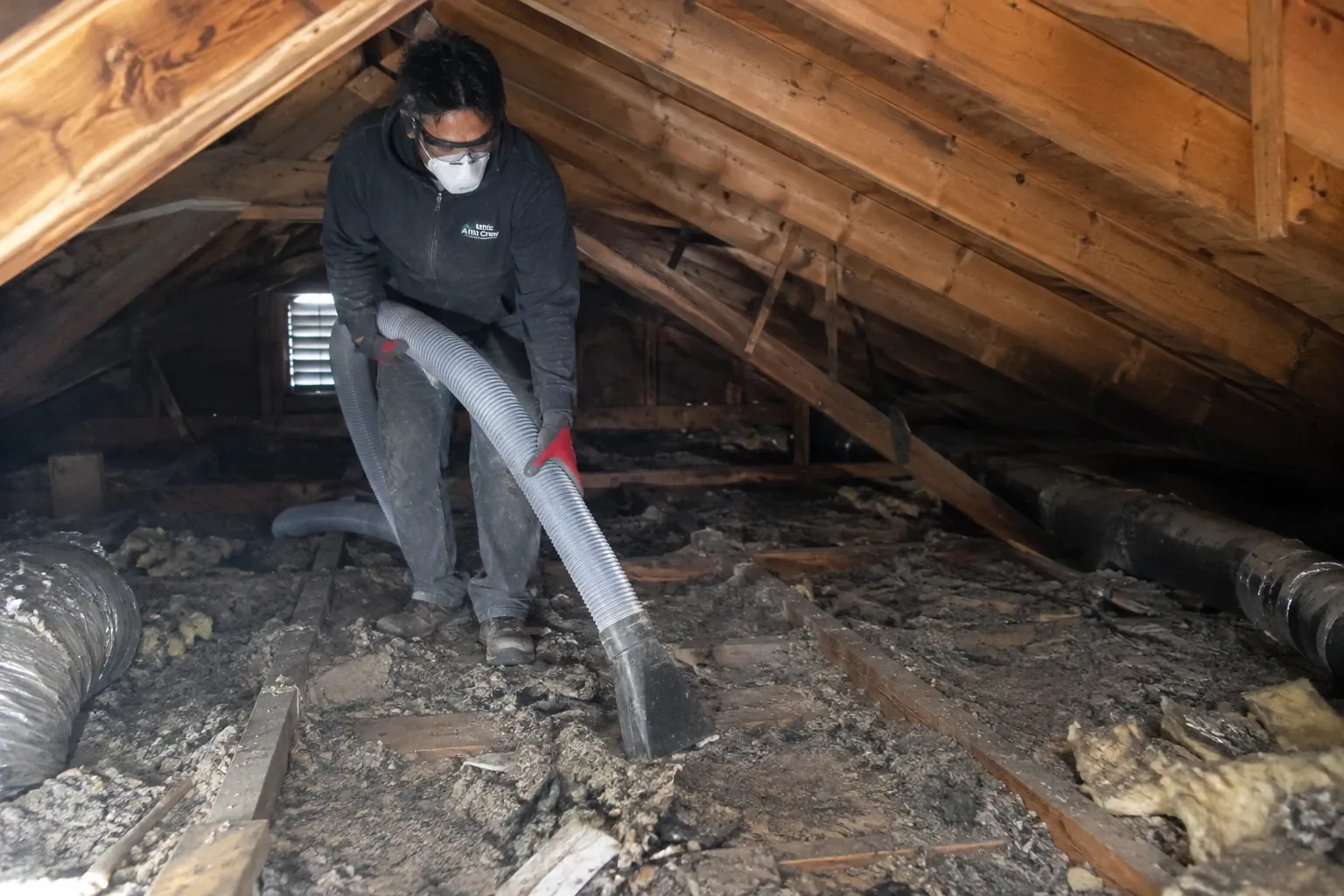 Vacuuming droppings and decayed insulation from between the joists.