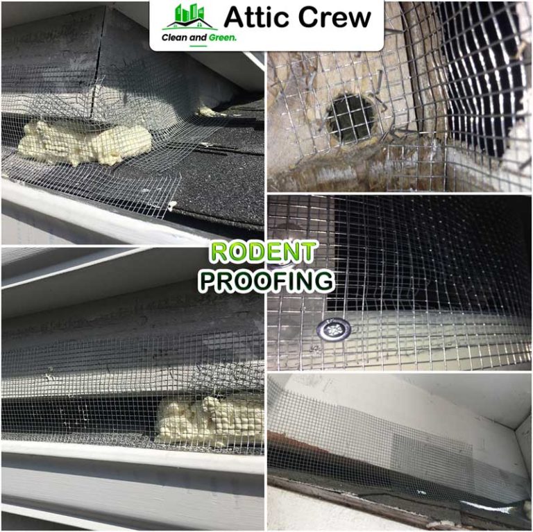 Rodent Proofing » Attic Crew