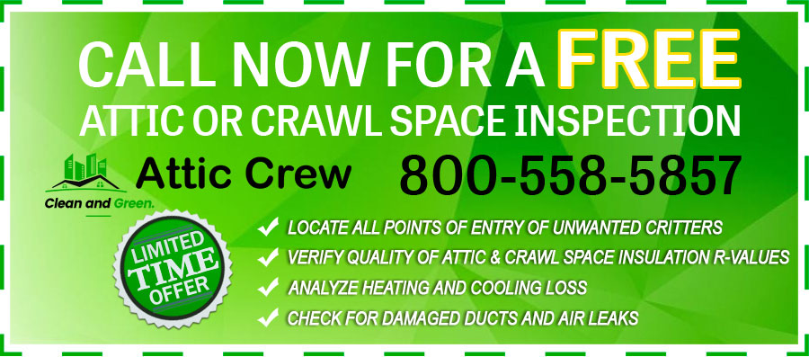 free attic and crawl space inspection offer